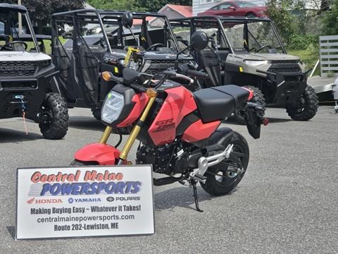 2025 Honda Grom in Lewiston, Maine - Photo 1