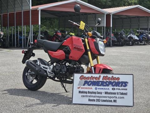 2025 Honda Grom in Lewiston, Maine - Photo 2