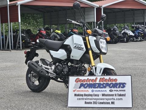 2025 Honda Grom in Lewiston, Maine - Photo 2