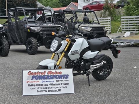 2025 Honda Grom in Lewiston, Maine - Photo 1