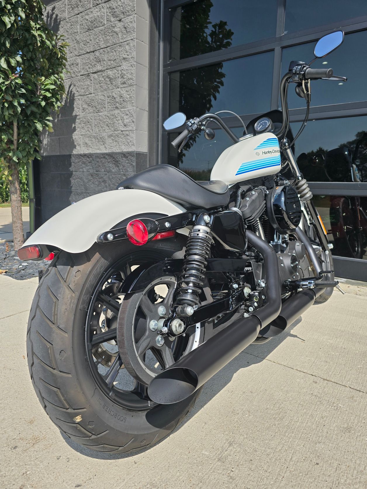 2019 Harley-Davidson Iron 1200™ in Kenosha, Wisconsin - Photo 8