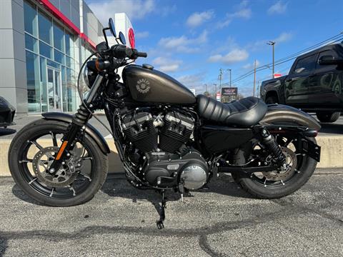 2020 Harley-Davidson Iron 883™ in Salisbury, Maryland - Photo 22