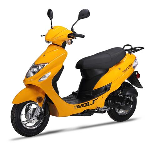 2024 Wolf Brand Scooters RX-50 Yellow in Salisbury, Maryland