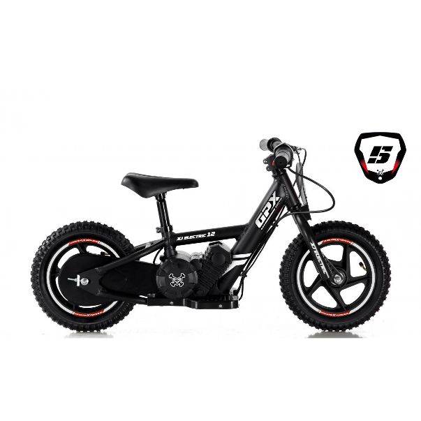 2020 Pitster Pro XJ-E 12 electric motorcycle in Portland, Oregon - Photo 6