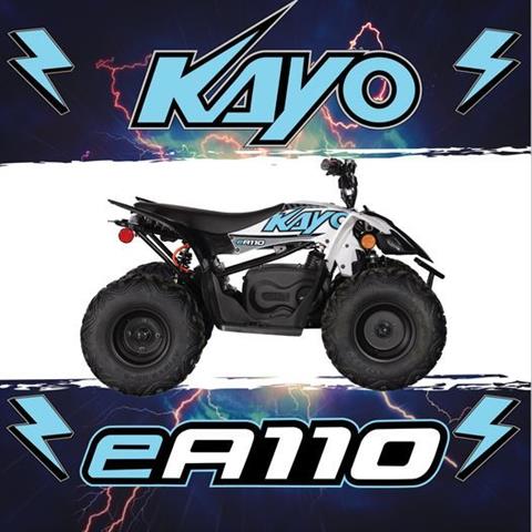 2024 Kayo EA110 in Portland, Oregon - Photo 5
