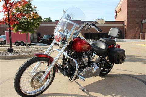 2008 Harley-Davidson Softail® Custom in Flint, Michigan - Photo 4