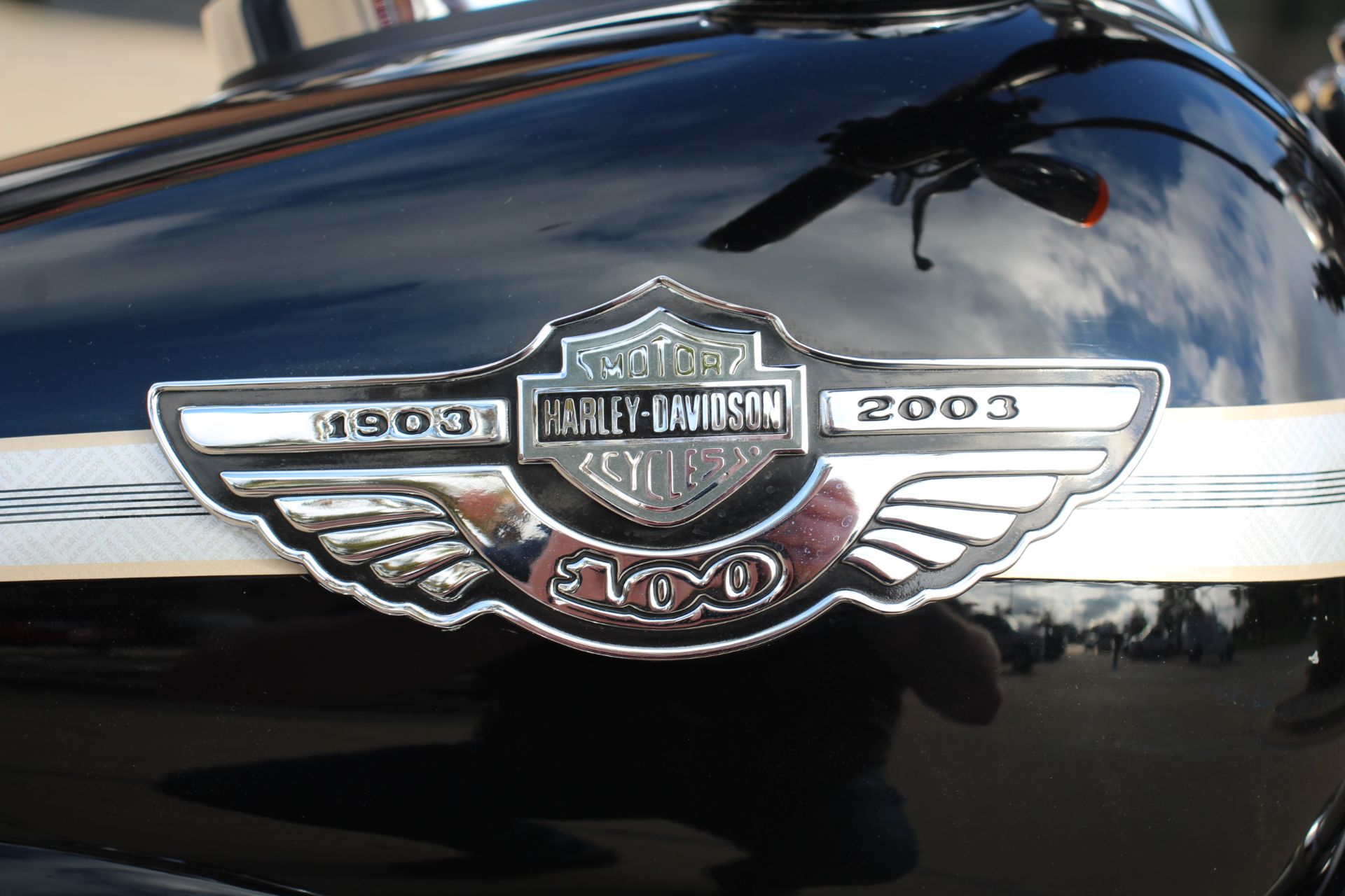 2003 Harley-Davidson FXDL Dyna Low Rider® in Flint, Michigan - Photo 9