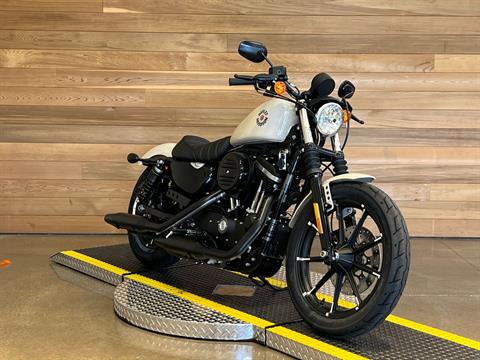 2022 Harley-Davidson Iron 883™ in Salem, Oregon - Photo 2