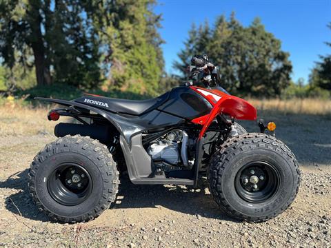 2024 Honda TRX90X in Eugene, Oregon - Photo 1