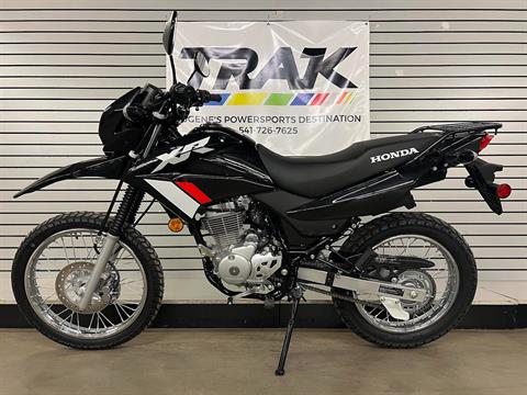 2024 Honda XR150L in Eugene, Oregon - Photo 2