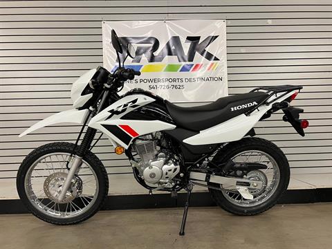 2024 Honda XR150L in Eugene, Oregon - Photo 2