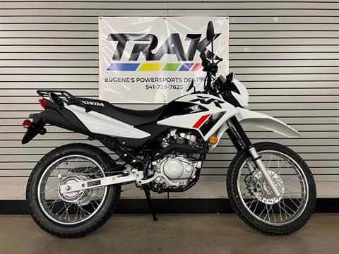 2024 Honda XR150L in Eugene, Oregon - Photo 1