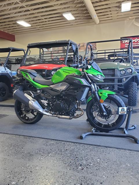 2024 Kawasaki Z500 ABS in Eureka, California - Photo 1