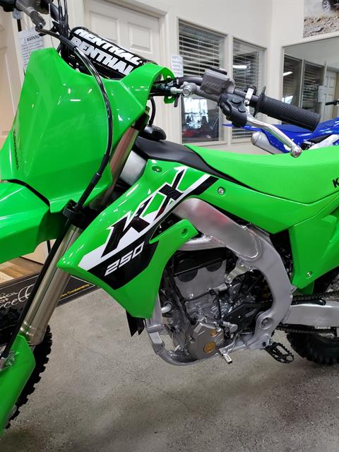 2024 Kawasaki KX 250 in Eureka, California - Photo 3