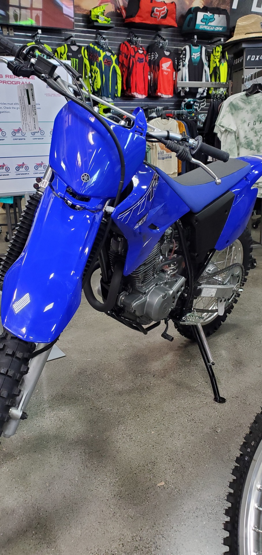 2022 Yamaha TT-R230 in Eureka, California - Photo 1