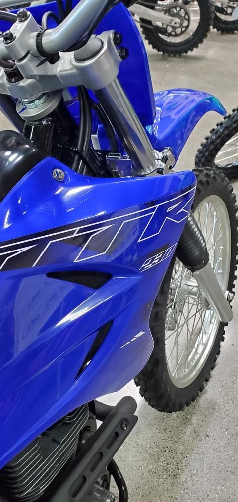 2022 Yamaha TT-R230 in Eureka, California - Photo 4