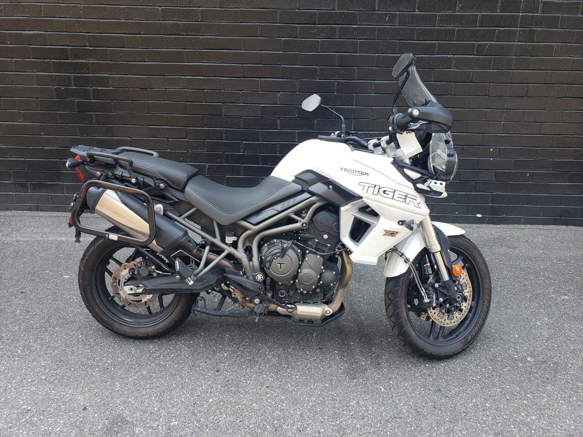 new triumph tiger 800