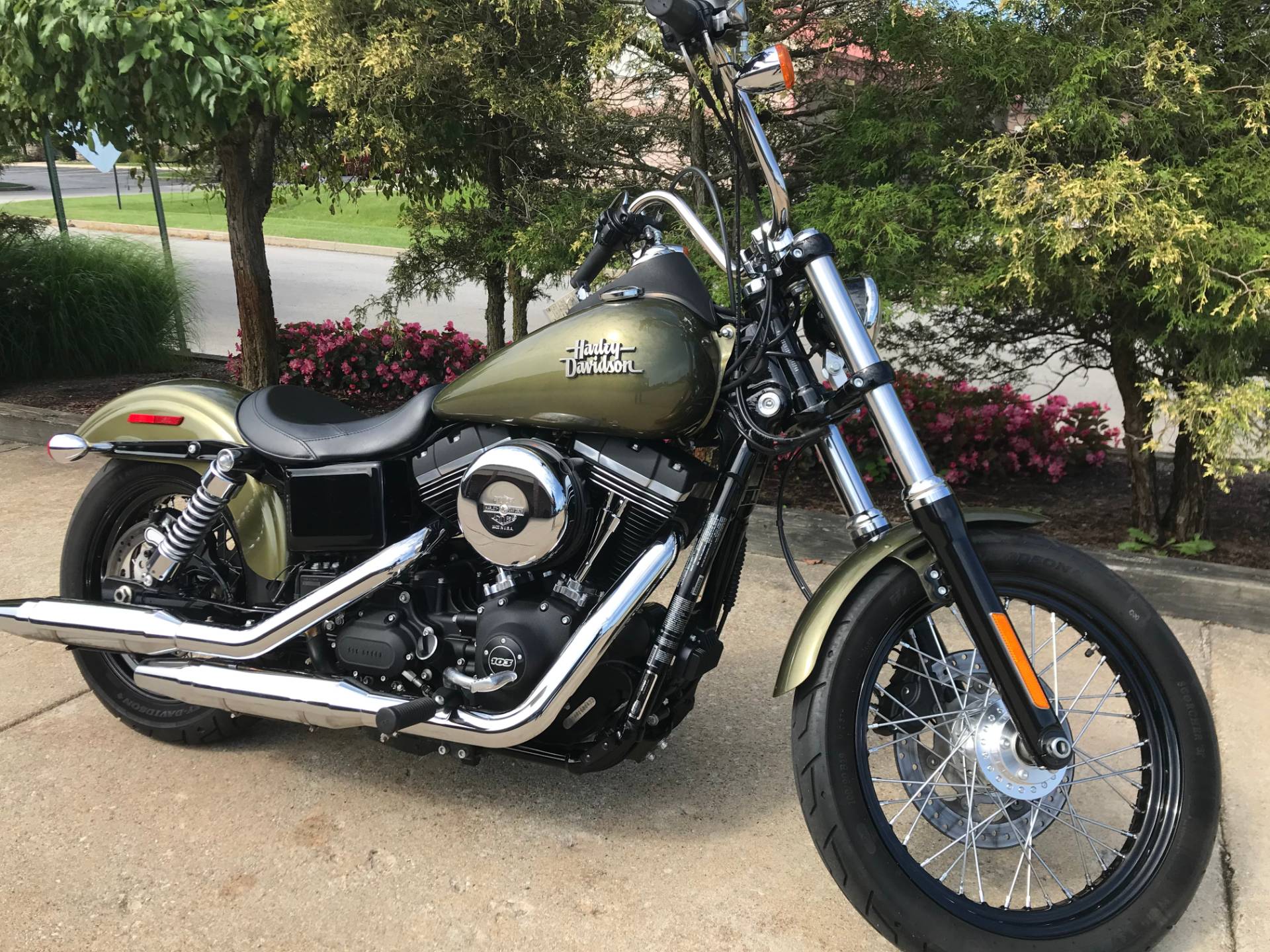 used street bob