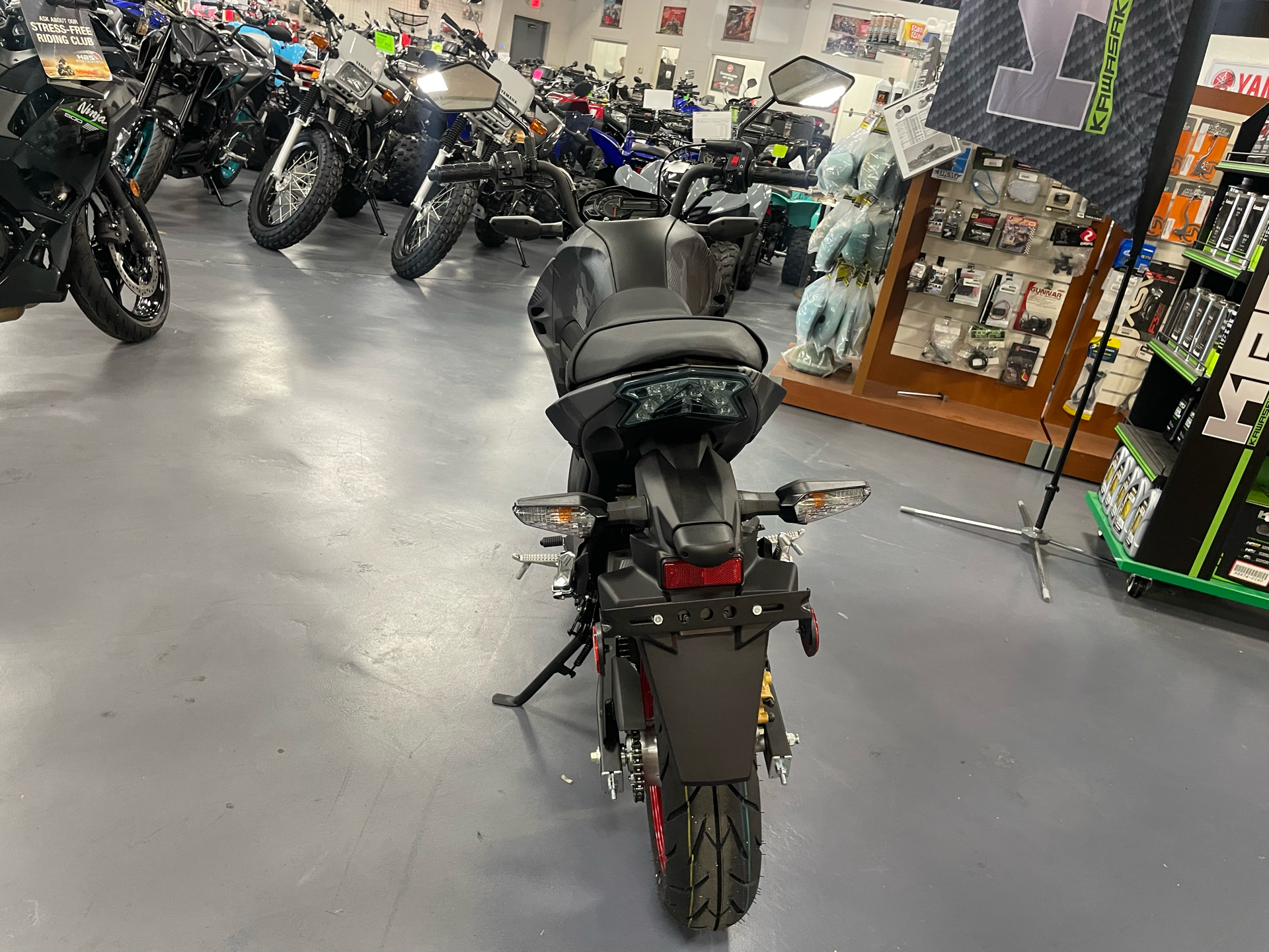 2024 Kawasaki Z125 Pro in Florence, South Carolina - Photo 6