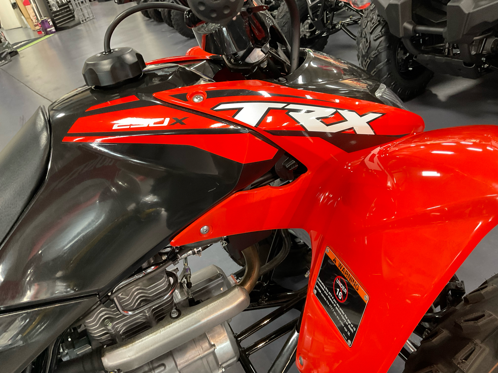 2024 Honda TRX250X in Florence, South Carolina - Photo 5