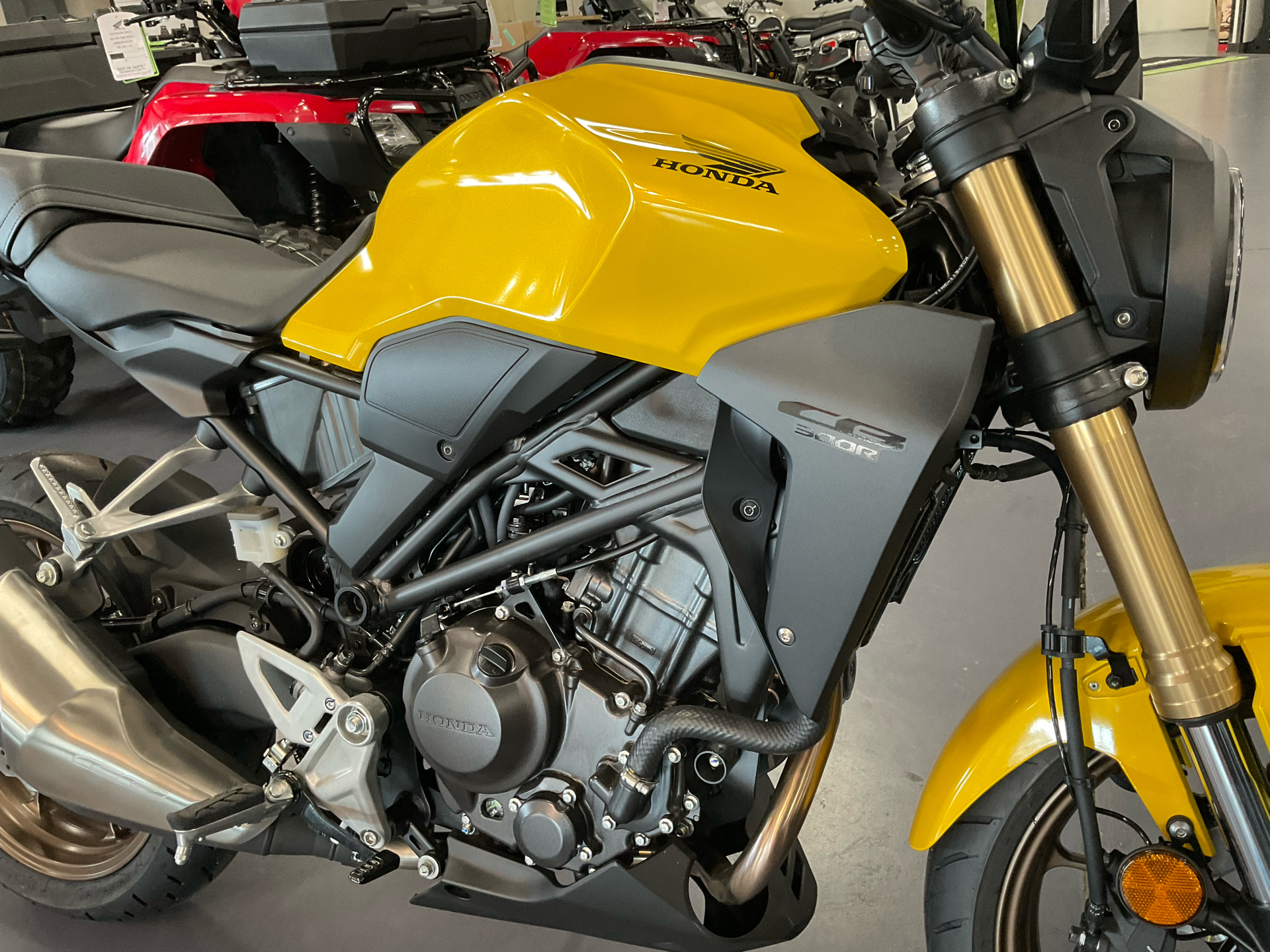 2024 Honda CB300R ABS in Florence, South Carolina - Photo 2
