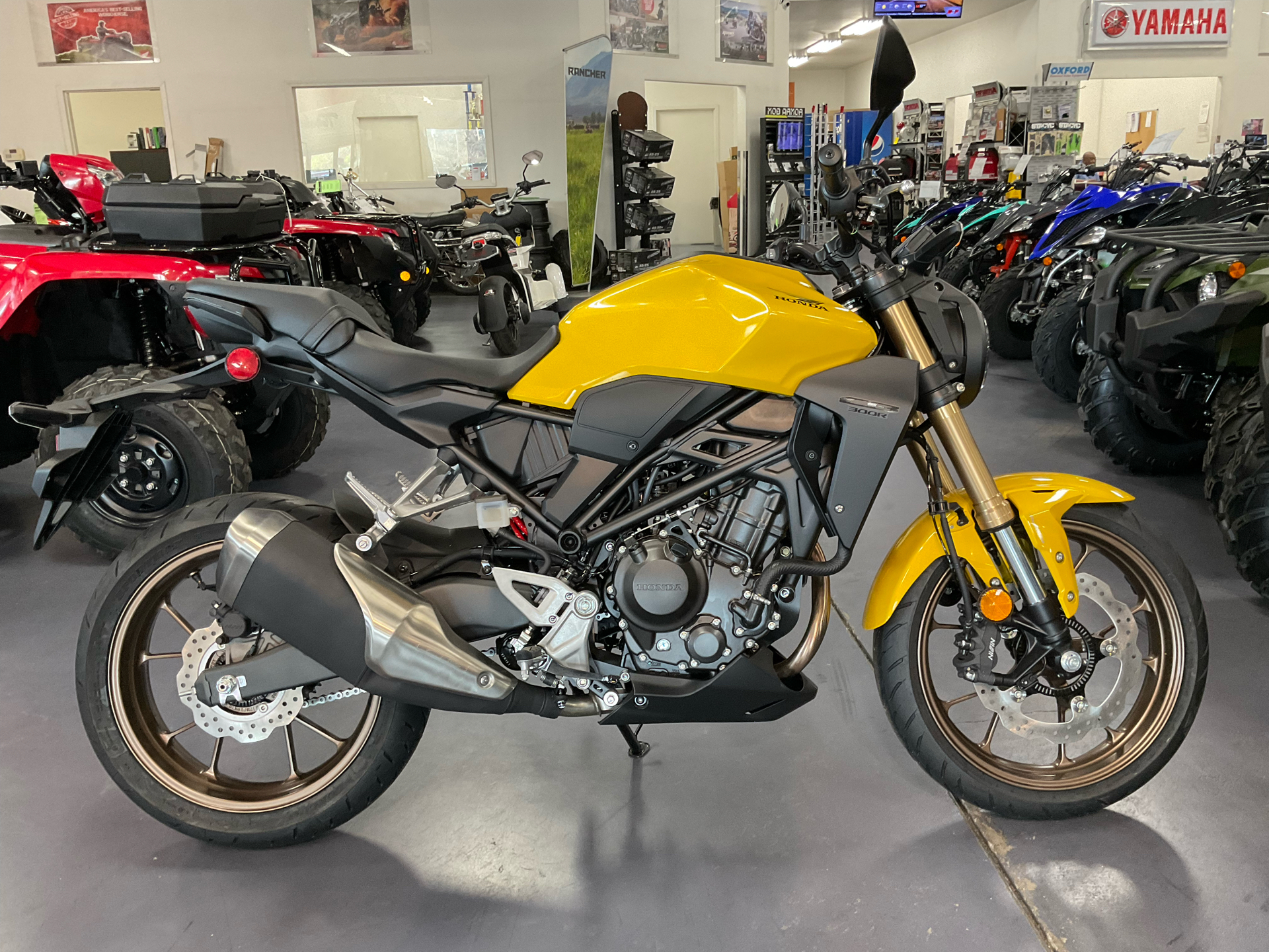 2024 Honda CB300R ABS in Florence, South Carolina - Photo 1
