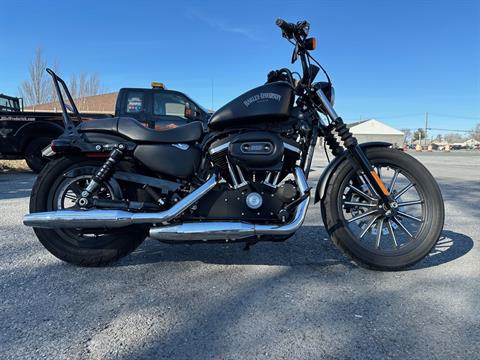 2015 Harley-Davidson Iron 883™ in Frederick, Maryland - Photo 4