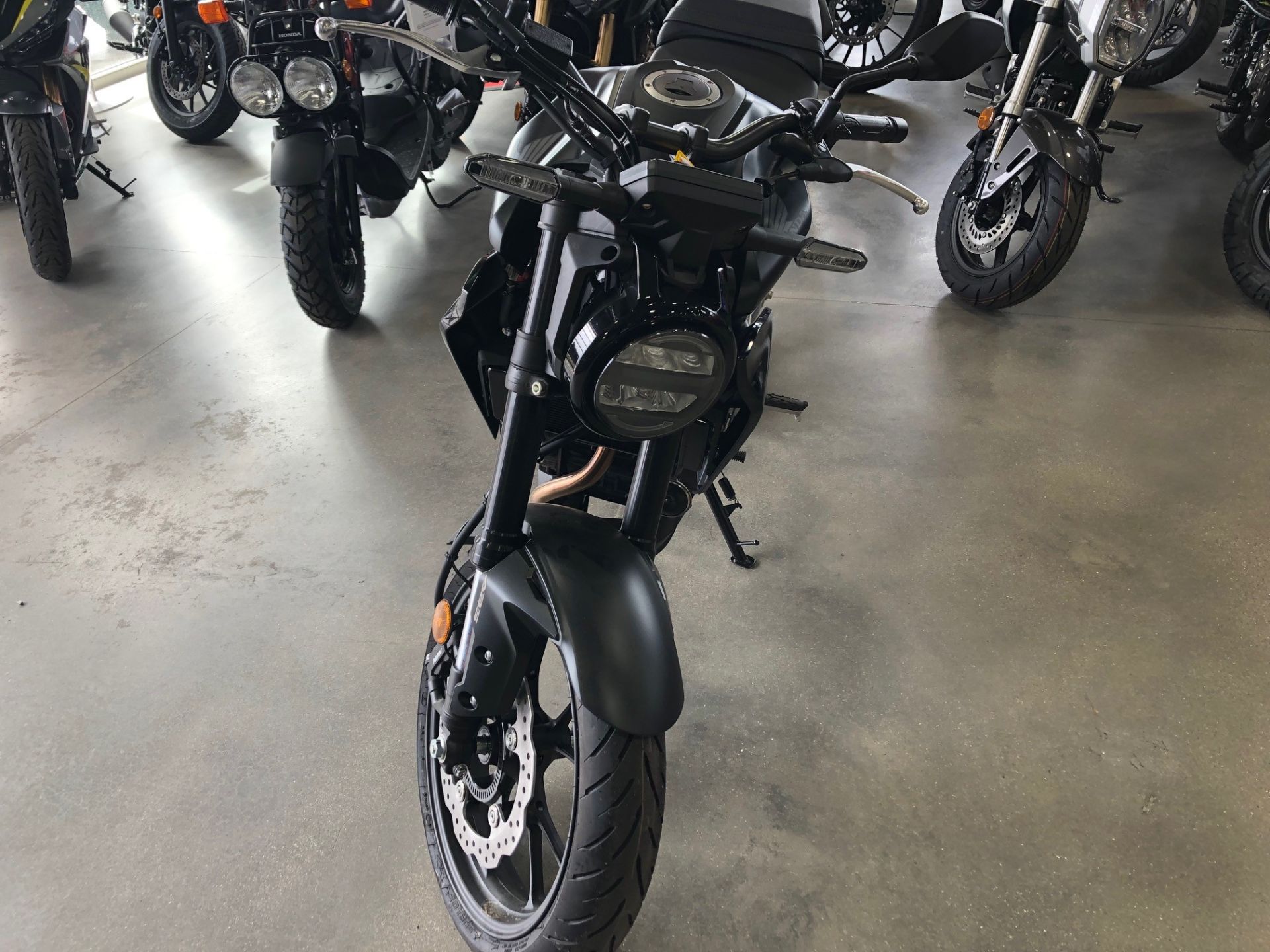 2024 Honda CB300R ABS in Suamico, Wisconsin - Photo 2