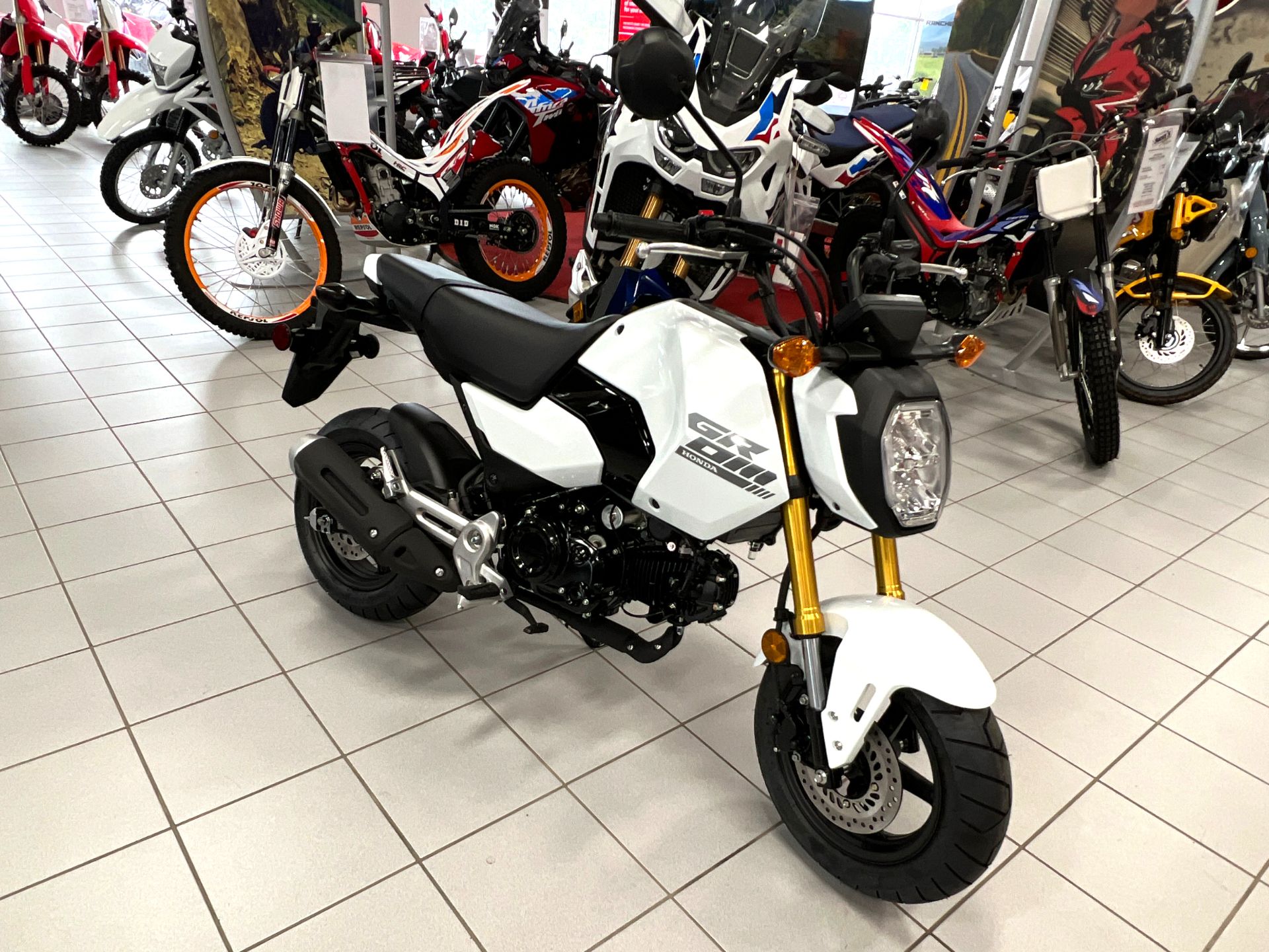 2025 Honda Grom in Kaukauna, Wisconsin - Photo 1