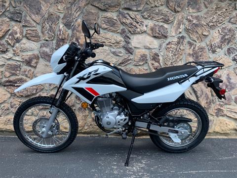 2024 Honda XR150L in Aurora, Illinois - Photo 1