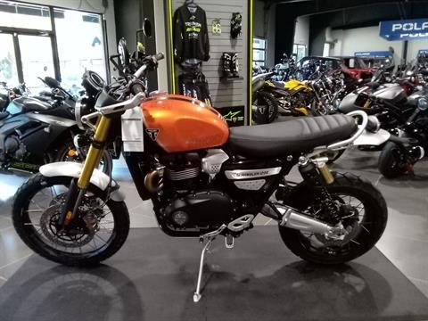 2024 Triumph Scrambler 1200 XE in Mooresville, North Carolina - Photo 2