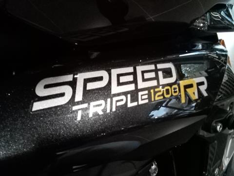 2023 Triumph Speed Triple 1200 RR in Mooresville, North Carolina - Photo 6