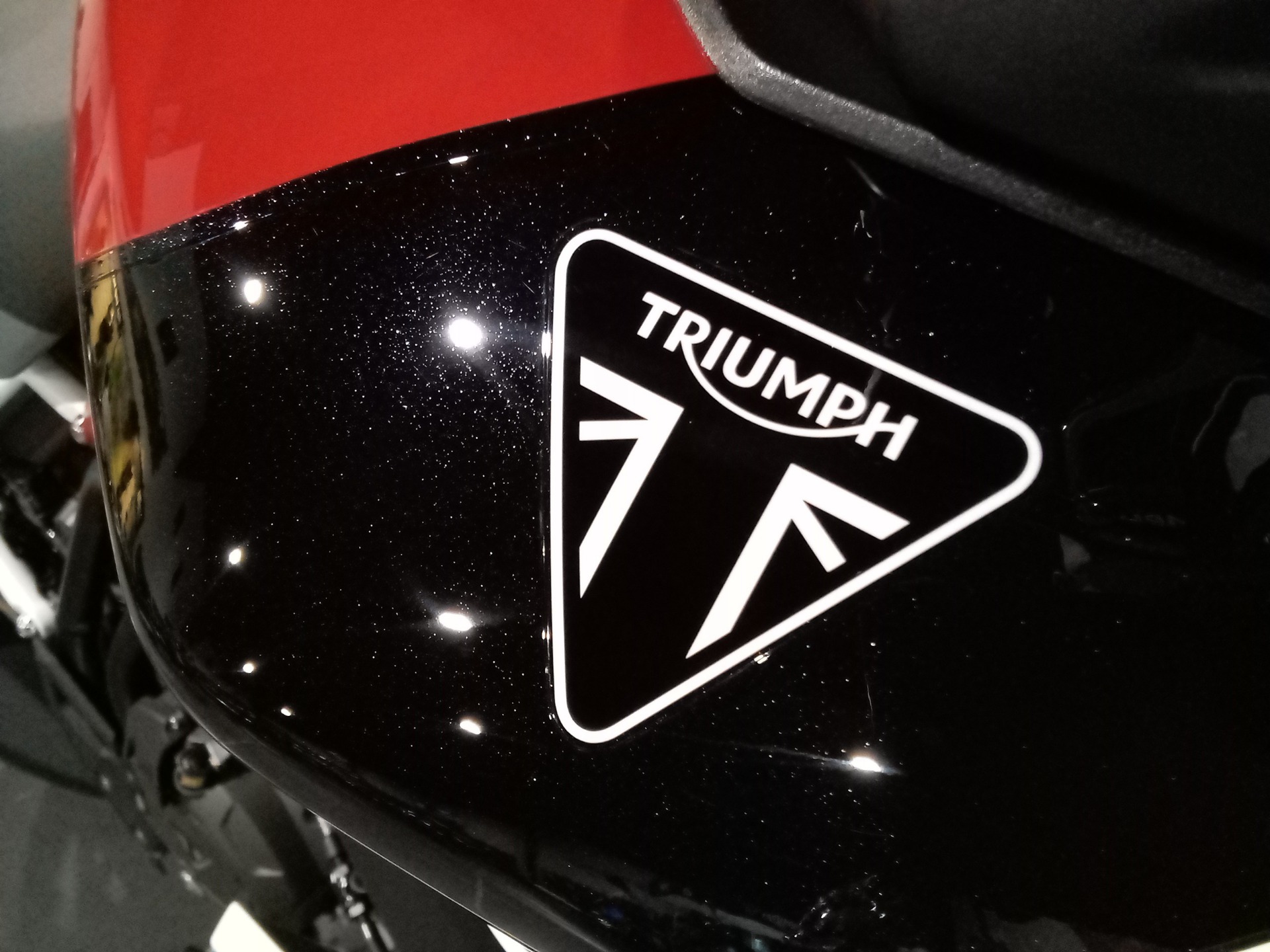 2024 Triumph TIGER 900 GT ARAGON EDITION in Mooresville, North Carolina - Photo 5