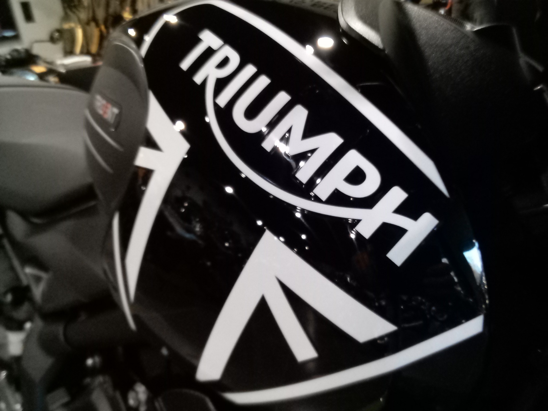 2024 Triumph Trident 660 in Mooresville, North Carolina - Photo 5