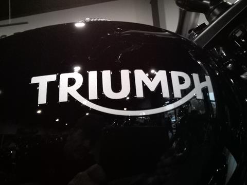 2023 Triumph SCRAMBLER 900 in Mooresville, North Carolina - Photo 5