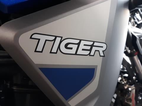 2023 Triumph TIGER 1200 GT EXPLORER in Mooresville, North Carolina - Photo 6
