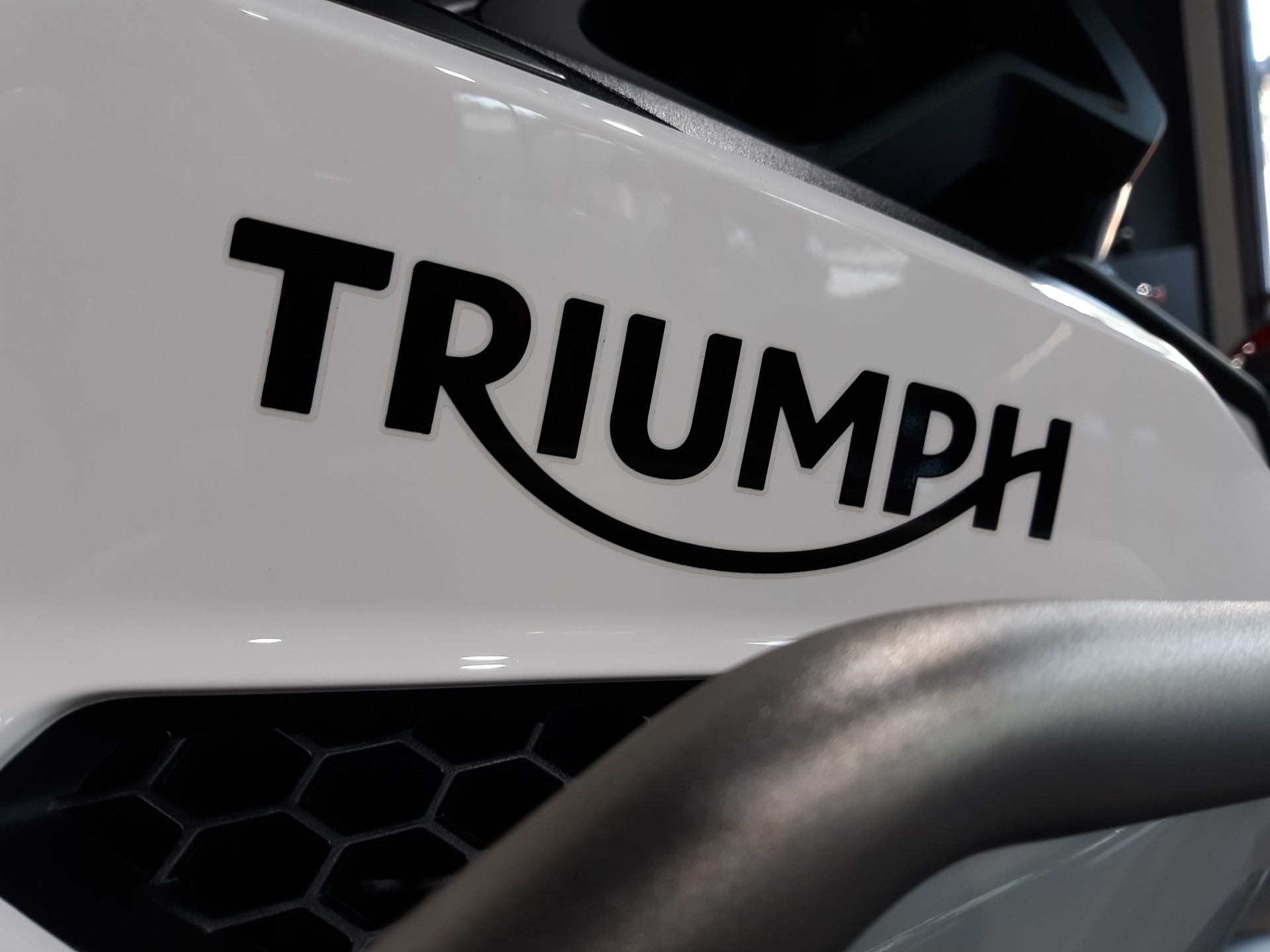 2023 Triumph TIGER 1200 RALLY EXPLORER in Mooresville, North Carolina - Photo 5