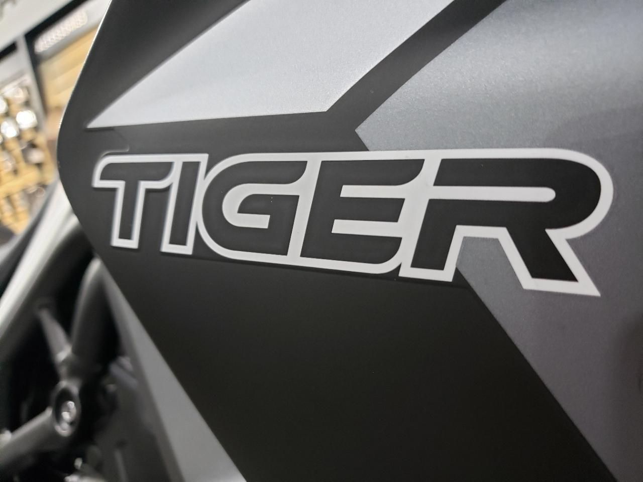 TIGER 900 GT LRH - Photo 10