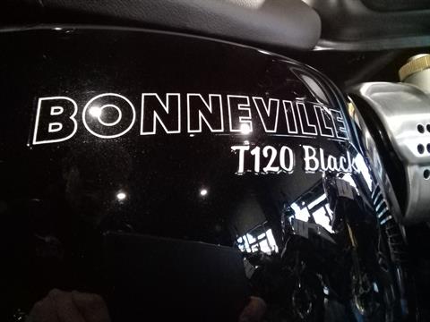 2023 Triumph Bonneville T120 Black in Mooresville, North Carolina - Photo 6