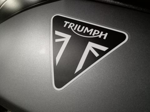 2024 Triumph TIGER 900 RALLY ARAGON EDITION in Mooresville, North Carolina - Photo 5