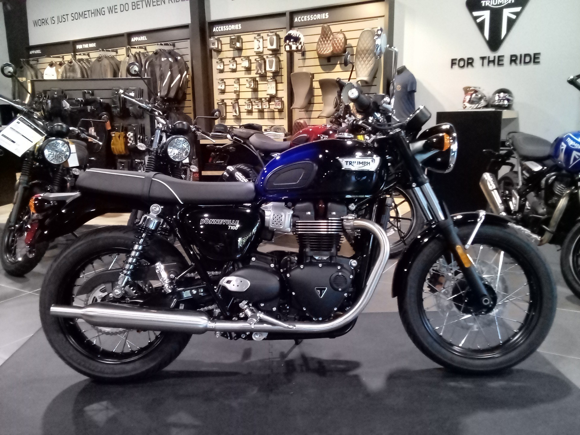 2024 Triumph Bonneville T100 in Mooresville, North Carolina - Photo 1