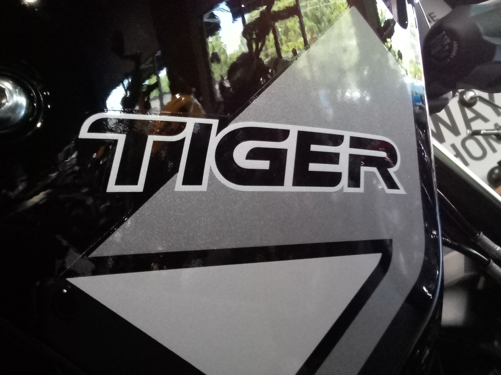 2023 Triumph Tiger 1200 GT Pro in Mooresville, North Carolina - Photo 6