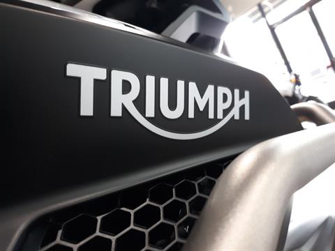 2023 Triumph TIGER 1200 RALLY EXPLORER in Mooresville, North Carolina - Photo 5
