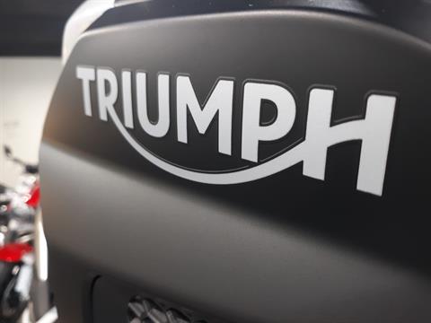 2023 Triumph TIGER 1200 RALLY PRO in Mooresville, North Carolina - Photo 5