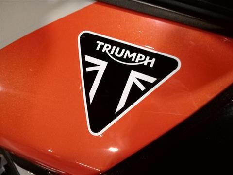 2024 Triumph Tiger 900 Rally Pro in Mooresville, North Carolina - Photo 5
