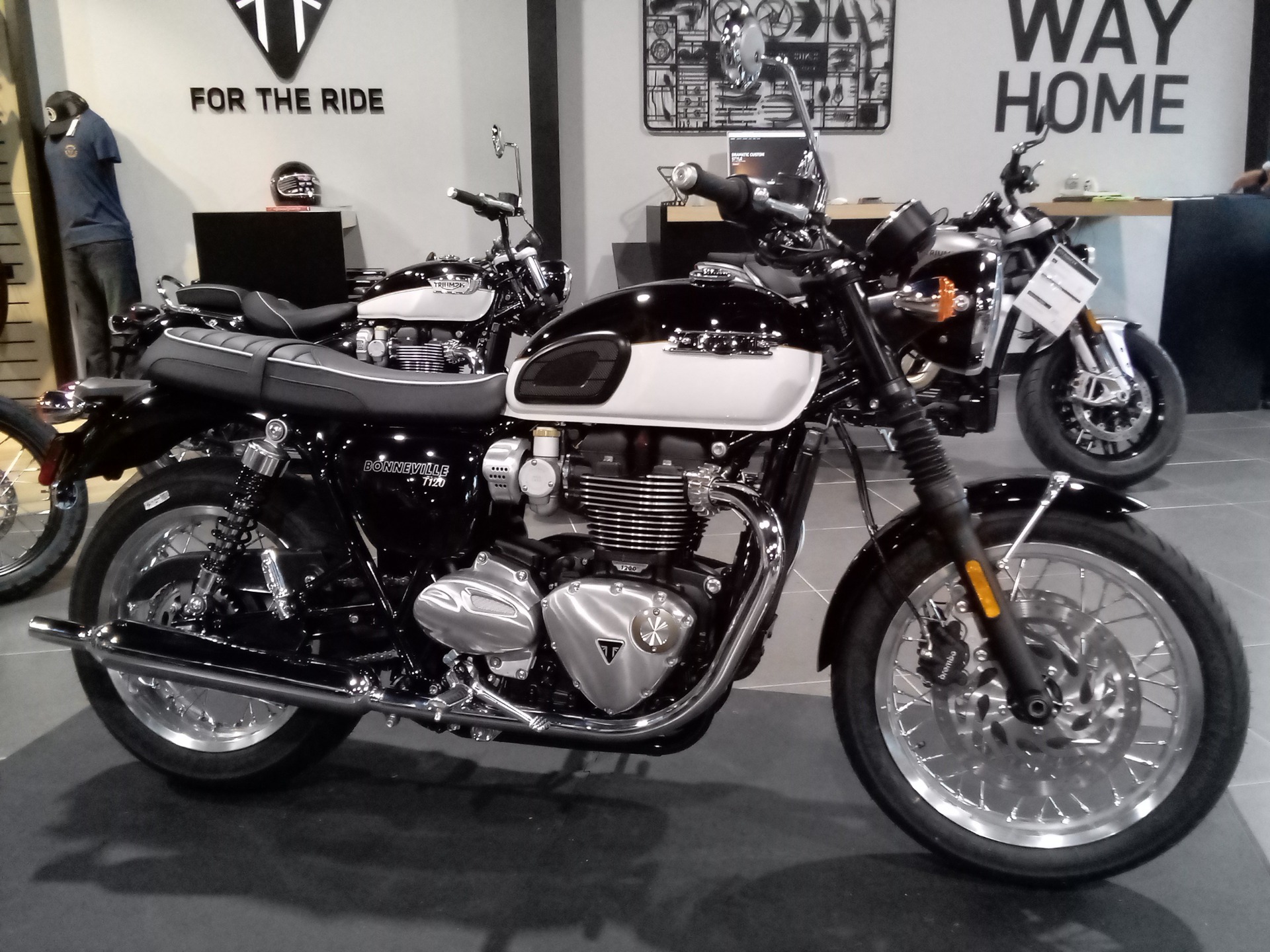 New 2024 Triumph Bonneville T120 Jet Black/Fusion White | Motorcycles ...