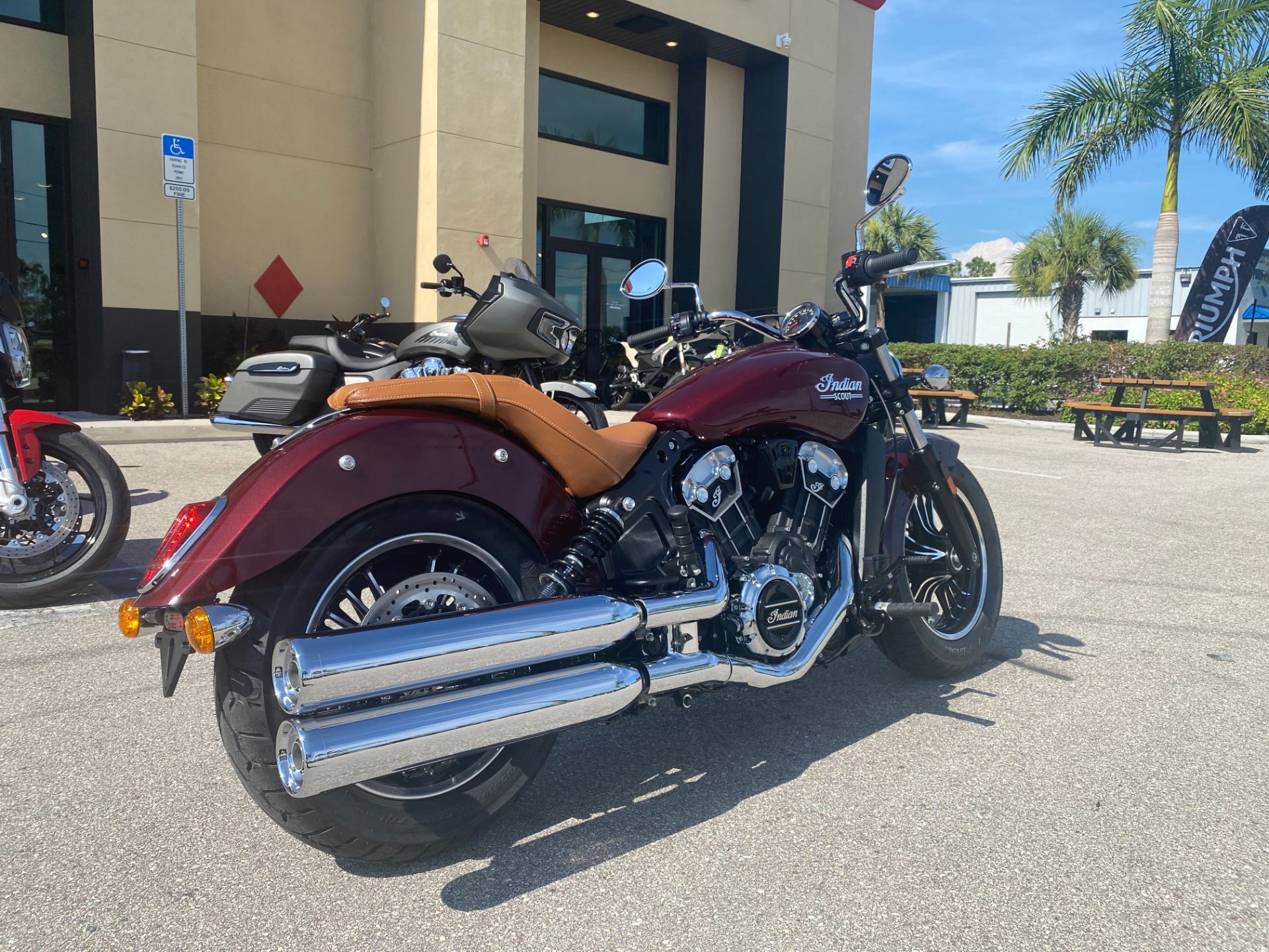 2023 Indian Motorcycle Scout® ABS in Fort Myers, Florida - Photo 3