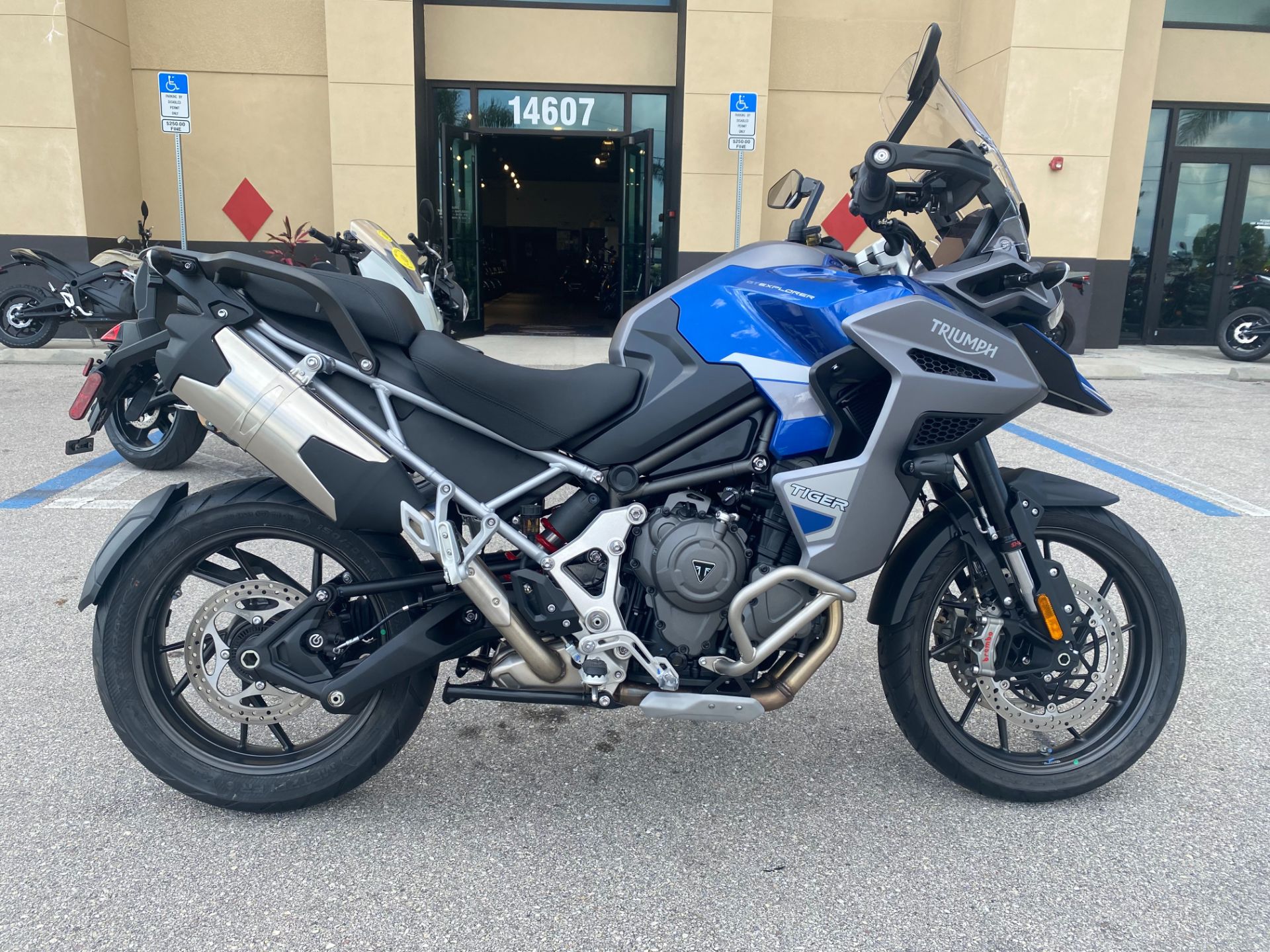 2023 Triumph Tiger 1200 GT Explorer in Fort Myers, Florida - Photo 2