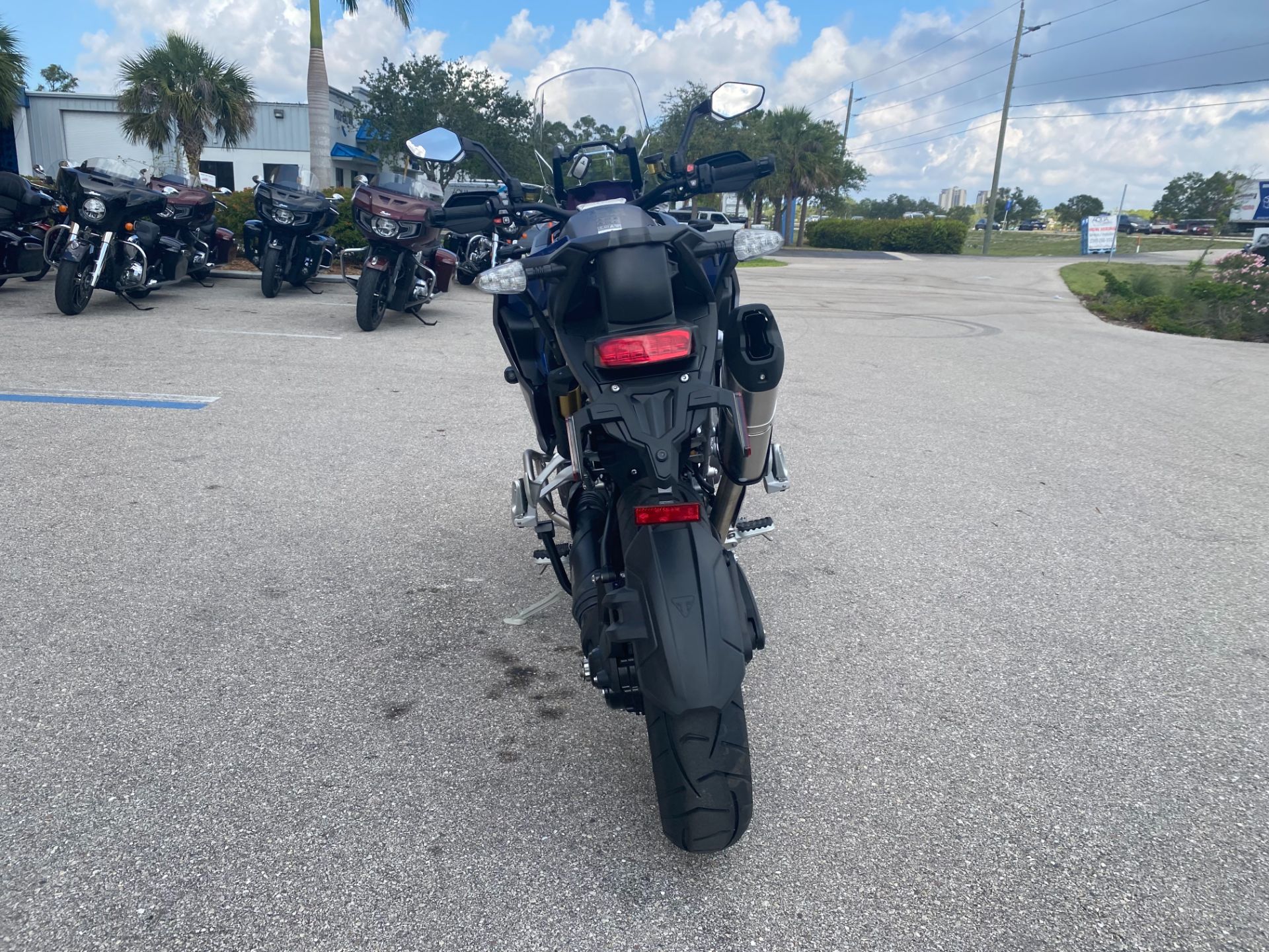 2023 Triumph Tiger 1200 GT Explorer in Fort Myers, Florida - Photo 4