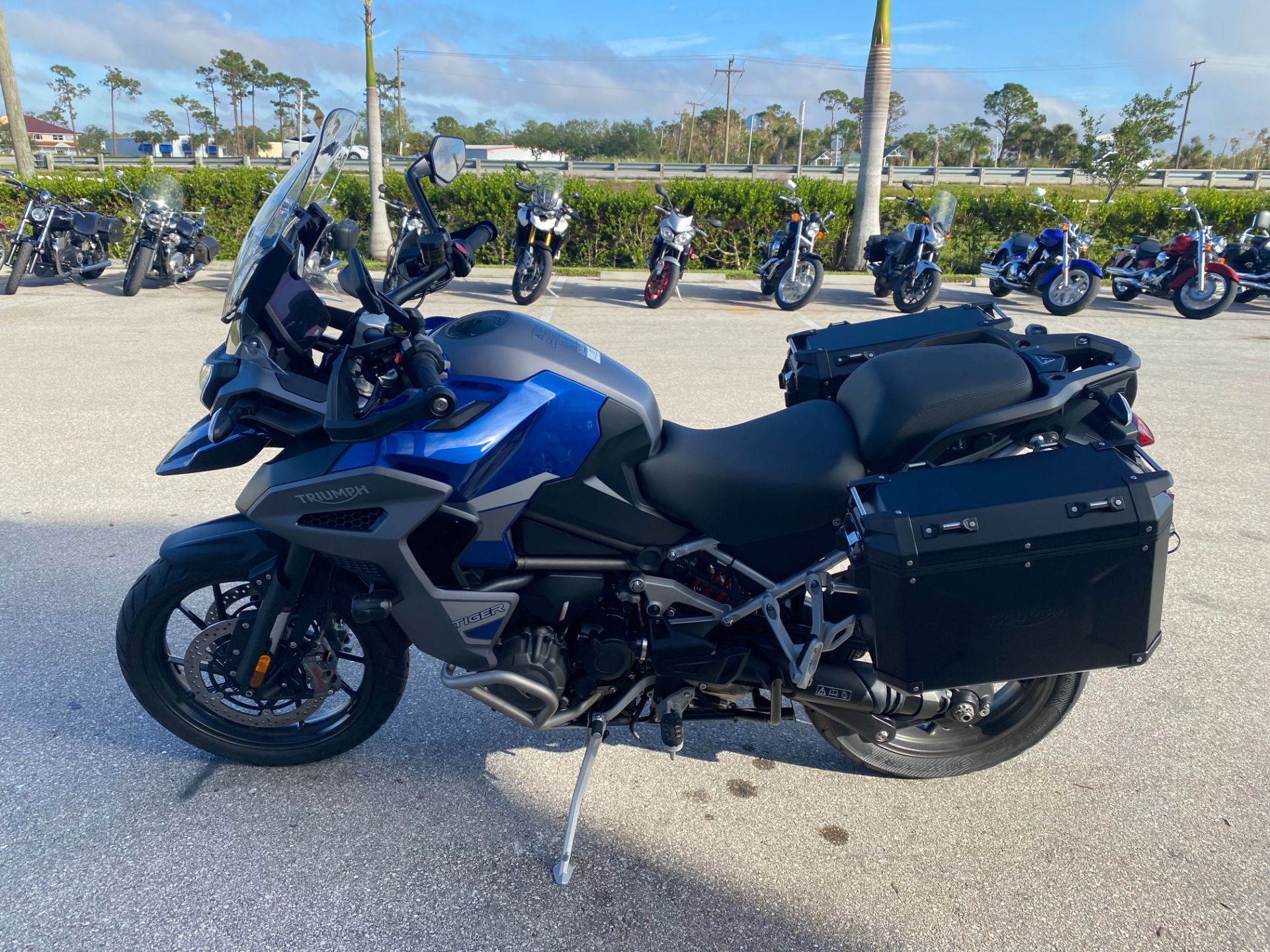2023 Triumph Tiger 1200 GT Explorer in Fort Myers, Florida - Photo 6